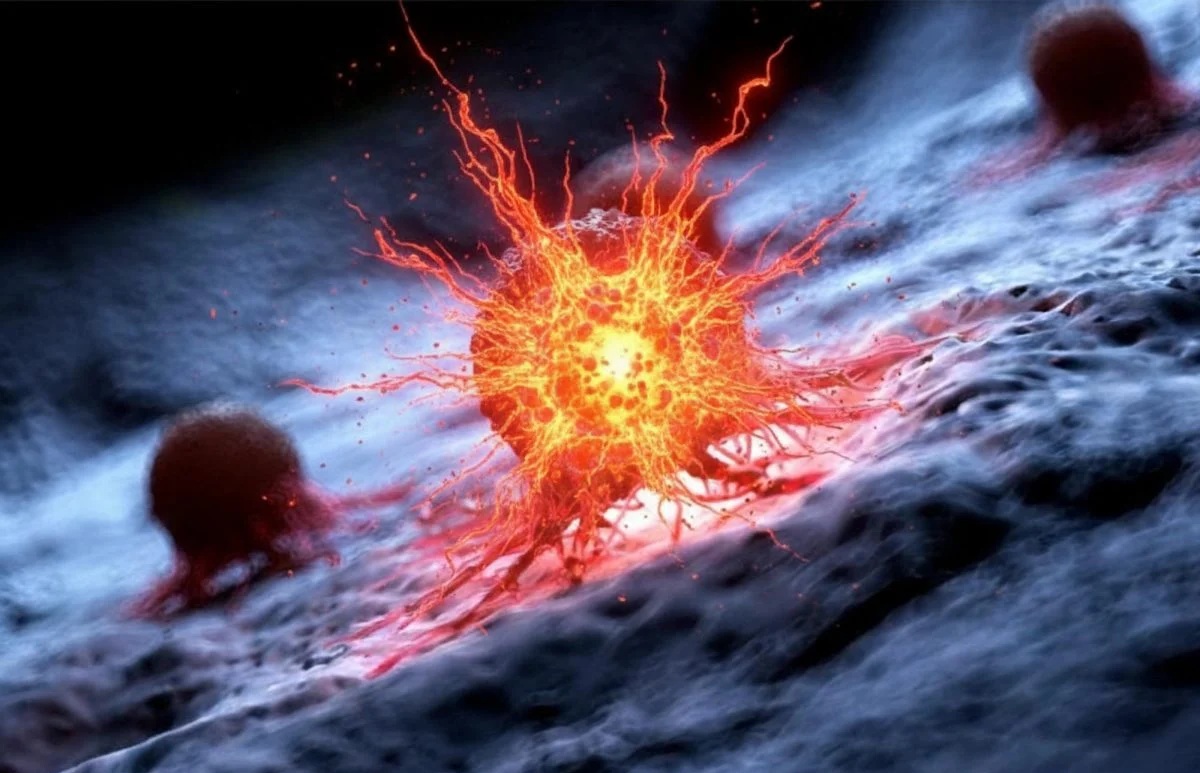 Các nhà nghiên cứu Mỹ tìm thấy “tử huyệt” của ung thư - Ảnh 1.