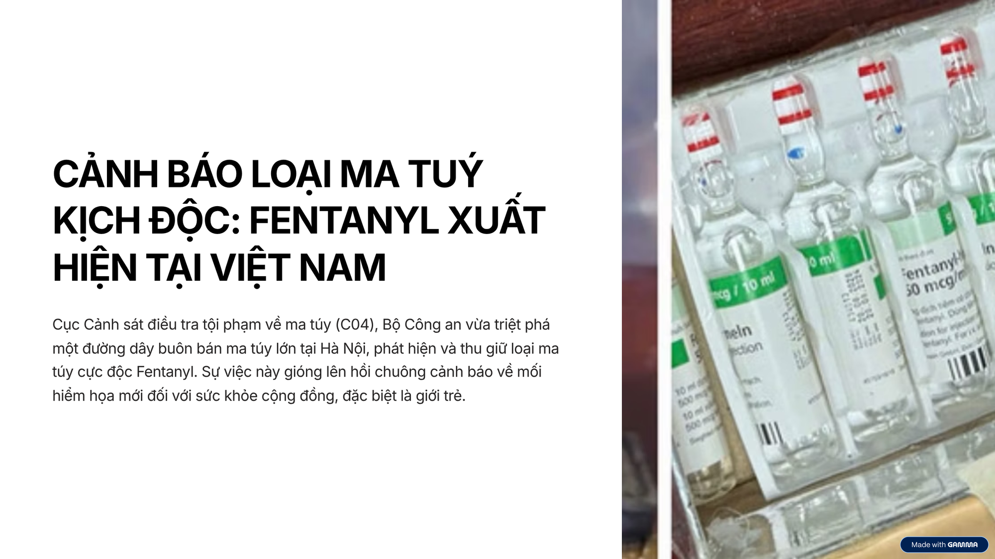 Cảnh b&aacute;o ma t&uacute;y kịch độc v&agrave; những lưu &yacute; ph&aacute;p luật cần biết - Ảnh 1.