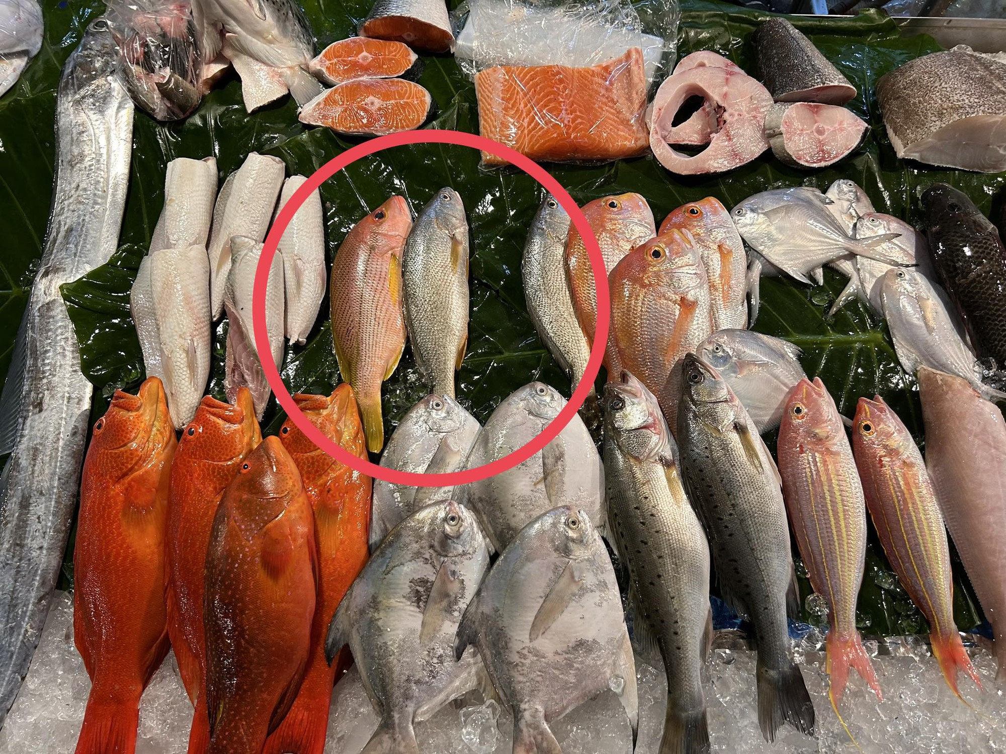 3 loại cá đầy ký sinh trùng người bán chẳng bao giờ ăn- Ảnh 2.