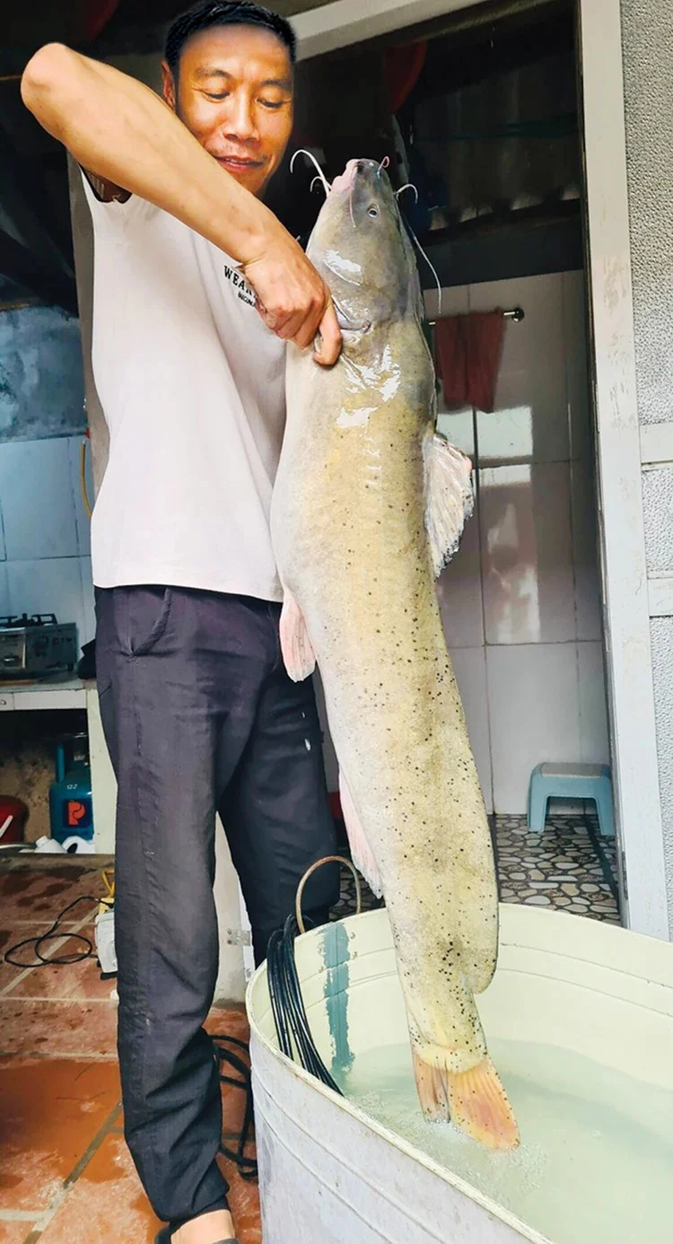 - Ảnh 1. - Ảnh 1.