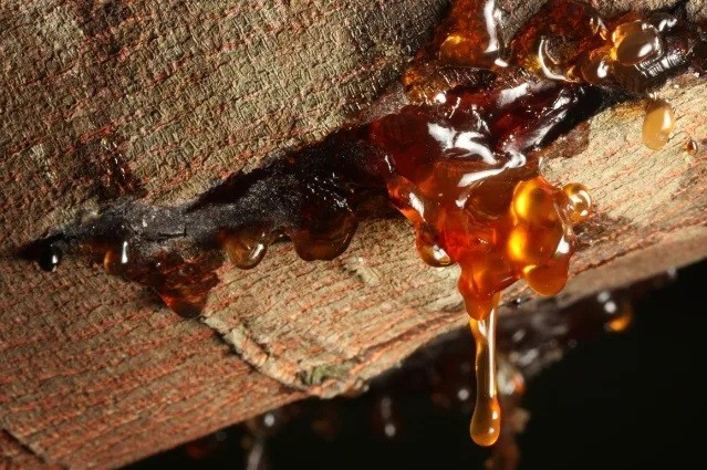 Hòn đá chặn cửa bất ngờ trở thành bảo vật triệu đô tại Romania - Ảnh 2.