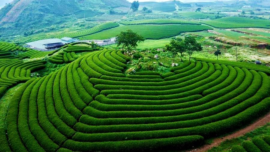 Mộc Châu - điểm đến thiên nhiên cấp địa phương hàng đầu thế giới - Ảnh 5.