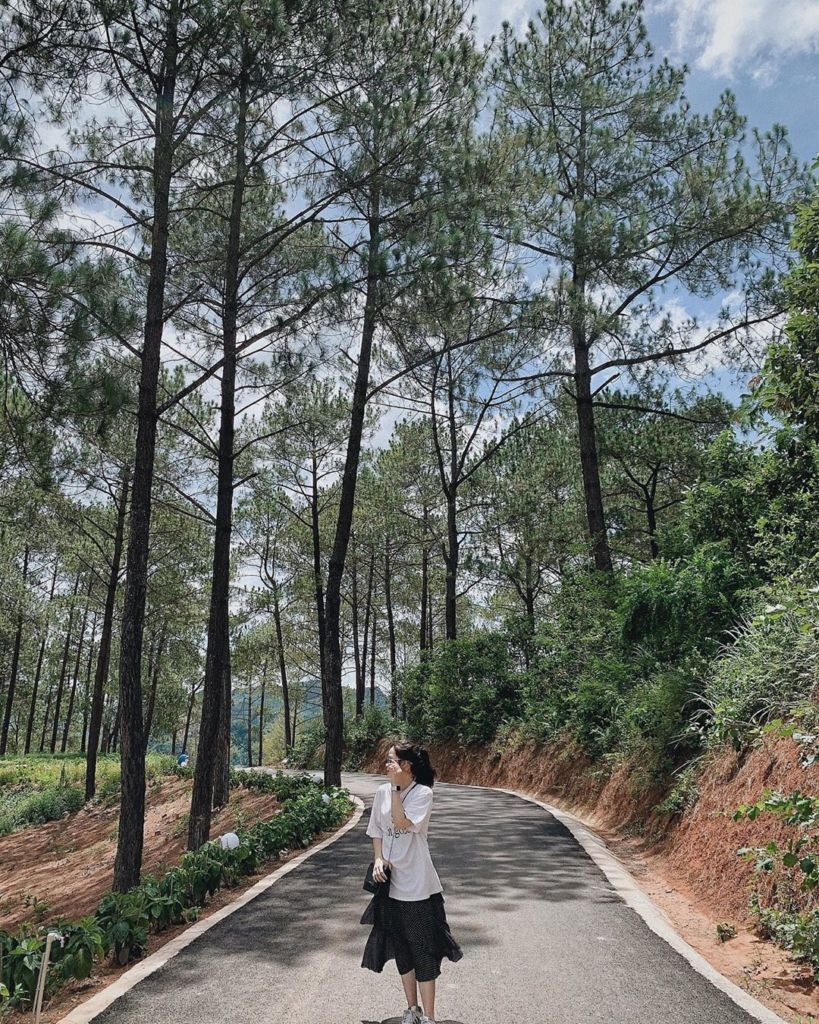 Mộc Châu - điểm đến thiên nhiên cấp địa phương hàng đầu thế giới - Ảnh 4.