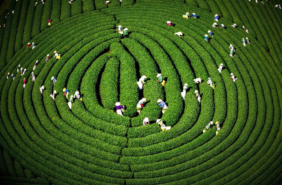 Mộc Châu - điểm đến thiên nhiên cấp địa phương hàng đầu thế giới - Ảnh 2.