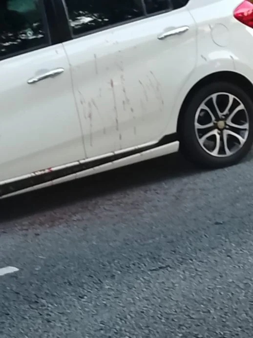 2 người đàn ông ngồi trong ô tô bị bắn, nhìn vào xe ai cũng sợ hãi - Ảnh 2.