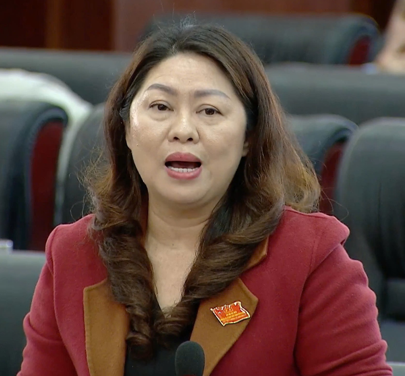 Đại Biểu Yêu Cầu Làm Rõ &Quot;Số Phận&Quot; Khu Điều Trị Hơn 178 Tỉ Ở Đà Nẵng Đại Biểu Yêu Cầu Làm Rõ