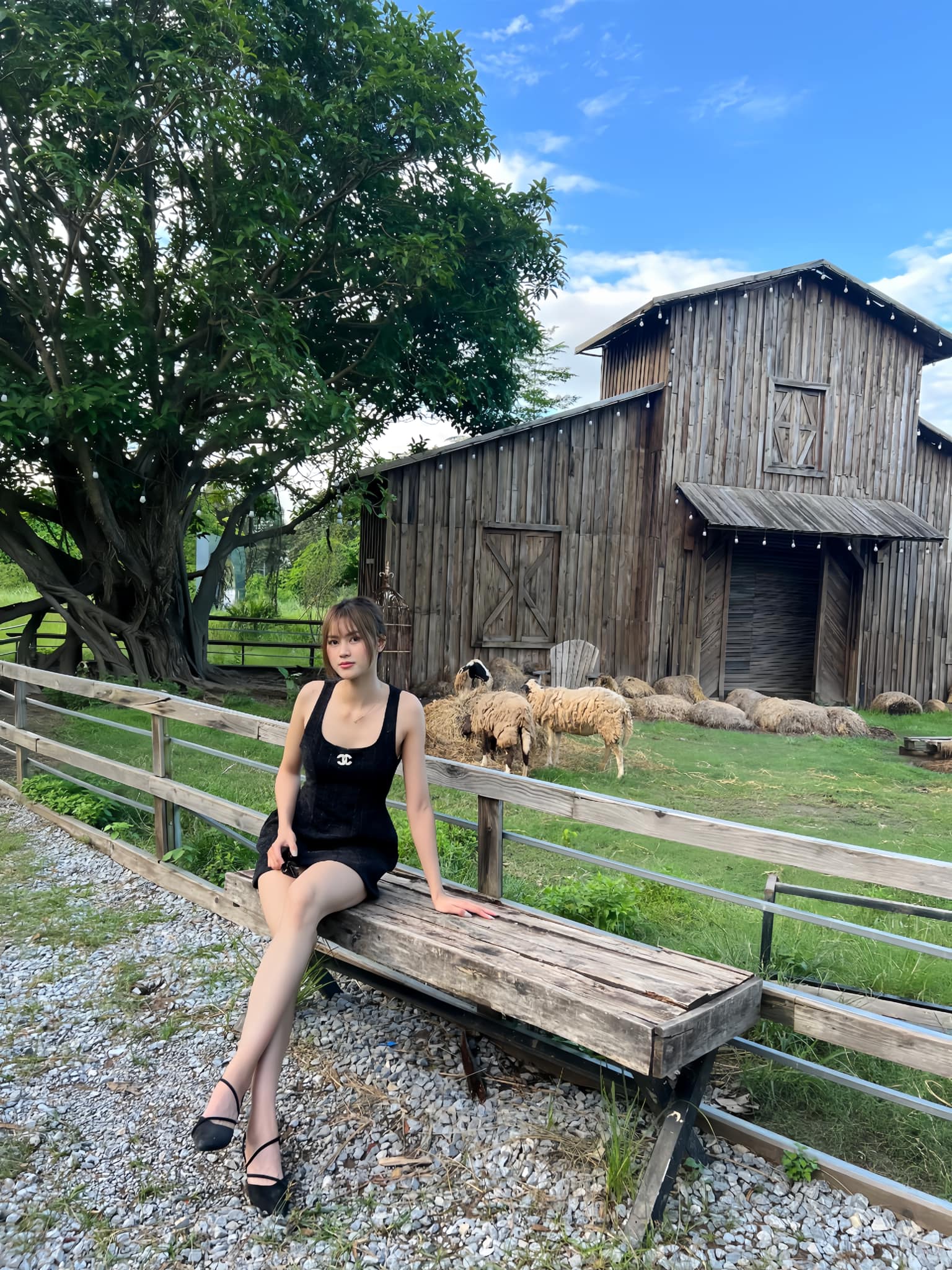 Ngắm đôi chân dài 1m15 của mỹ nhân đấu kiếm Việt, "bản sao Hoa hậu Đỗ Hà" ở SEA Games 33 - Ảnh 13. Ngắm đôi chân dài 1m15 của mỹ nhân đấu kiếm Việt, "bản sao Hoa hậu Đỗ Hà" ở SEA Games 33 - Ảnh 13.