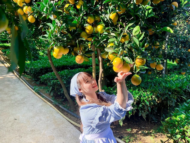 Điểm miền núi phía Bắc nhiều người đang rủ nhau đi: Càng cuối năm càng đông, có đặc sản "hiếm" ở Việt Nam - Ảnh 12.