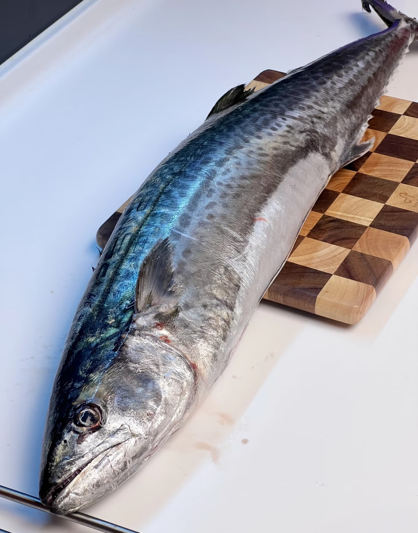 Chọn ngay 3 loại "hải sản quốc dân" này, đảm bảo sạch 100%, thịt ngọt lừ, trẻ con người già ăn đều tốt - Ảnh 5. Chọn ngay 3 loại "hải sản quốc dân" này, đảm bảo sạch 100%, thịt ngọt lừ, trẻ con người già ăn đều tốt - Ảnh 5.