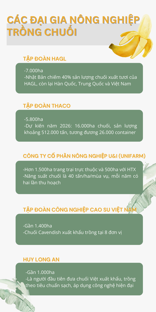 'Trái cây hạnh phúc' của Việt Nam khiến Nhật Bản, Trung Quốc tranh phần nhập khẩu, một loạt đại gia chạy đua mở rộng diện tích - Ảnh 2. 'Trái cây hạnh phúc' của Việt Nam khiến Nhật Bản, Trung Quốc tranh phần nhập khẩu, một loạt đại gia chạy đua mở rộng diện tích - Ảnh 2.