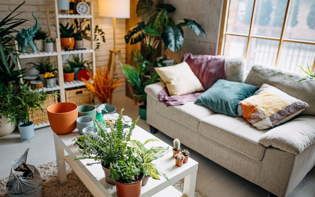 - Ảnh 2. - Ảnh 2.