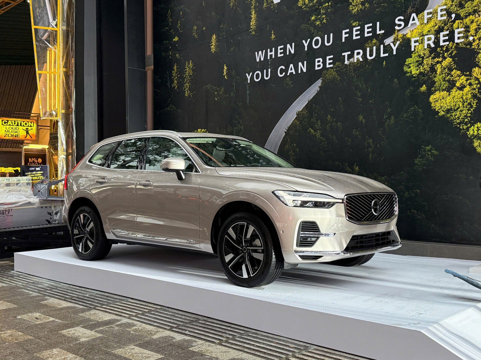 23 xe hybrid ra mắt Việt Nam 2025: Riêng 1 mẫu lắp cả MHEV, PHEV, nhiều chiếc đi cả trăm km không cần xăng- Ảnh 4.