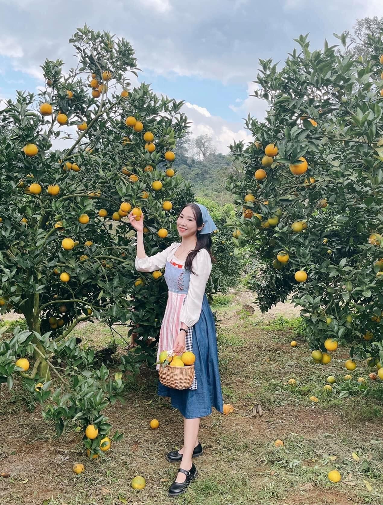 Điểm miền núi phía Bắc nhiều người đang rủ nhau đi: Càng cuối năm càng đông, có đặc sản "hiếm" ở Việt Nam - Ảnh 11.