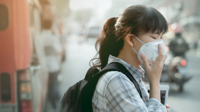 1 176547710795137911139 1765602150718 1765602150969489233030