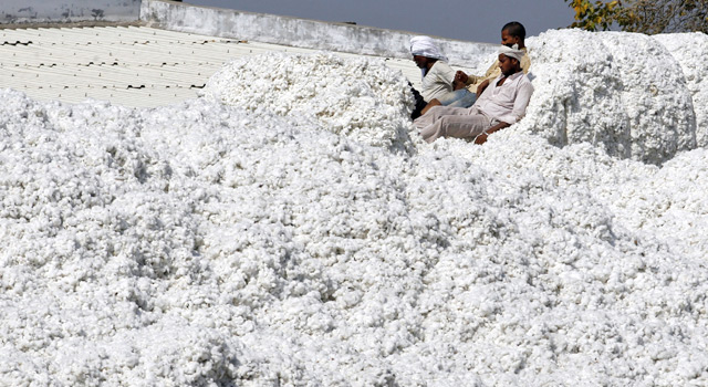 - Ảnh 1. - Ảnh 1.