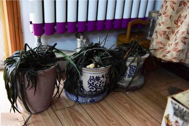 5 dấu hiệu ngôi nhà nặng tà khí và cách hóa giải hiệu quả - Ảnh 2. 5 dấu hiệu ngôi nhà nặng tà khí và cách hóa giải hiệu quả - Ảnh 2.