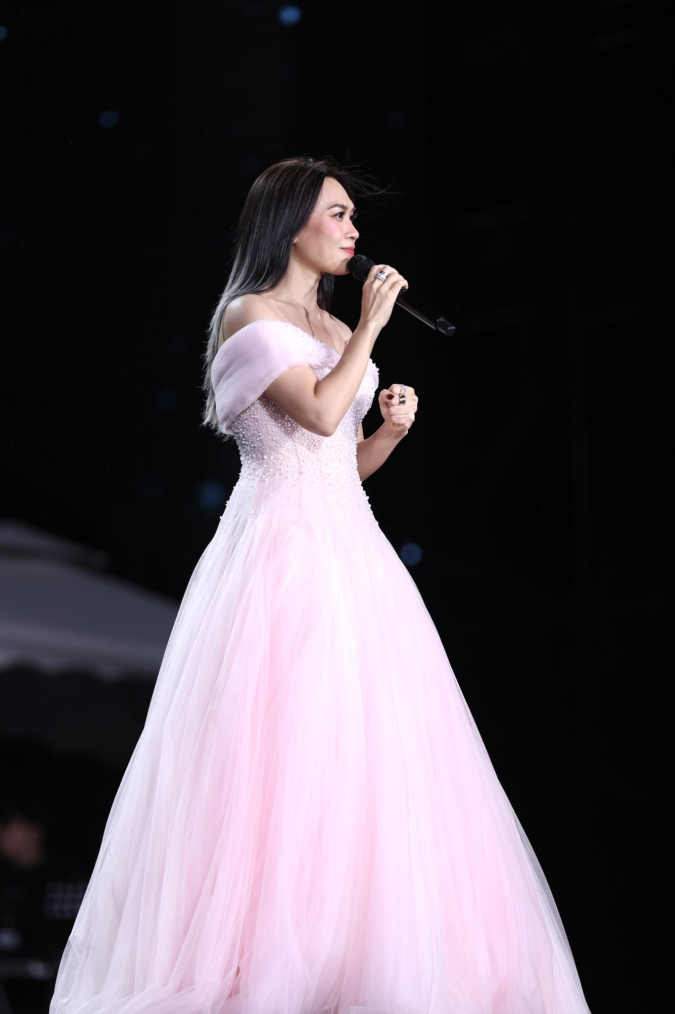 Mỹ Tâm: "Tâm có cái sai, hôm nay Tâm xin lỗi tất cả hàng xóm bên cạnh sân Mỹ Đình" - Ảnh 1.