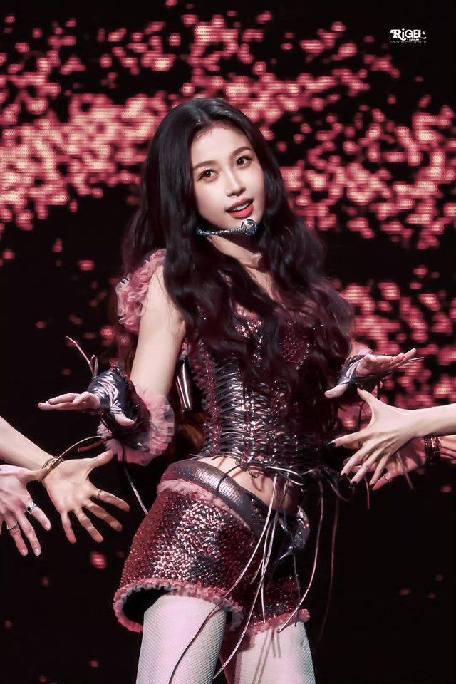 - Ảnh 3. - Ảnh 3.