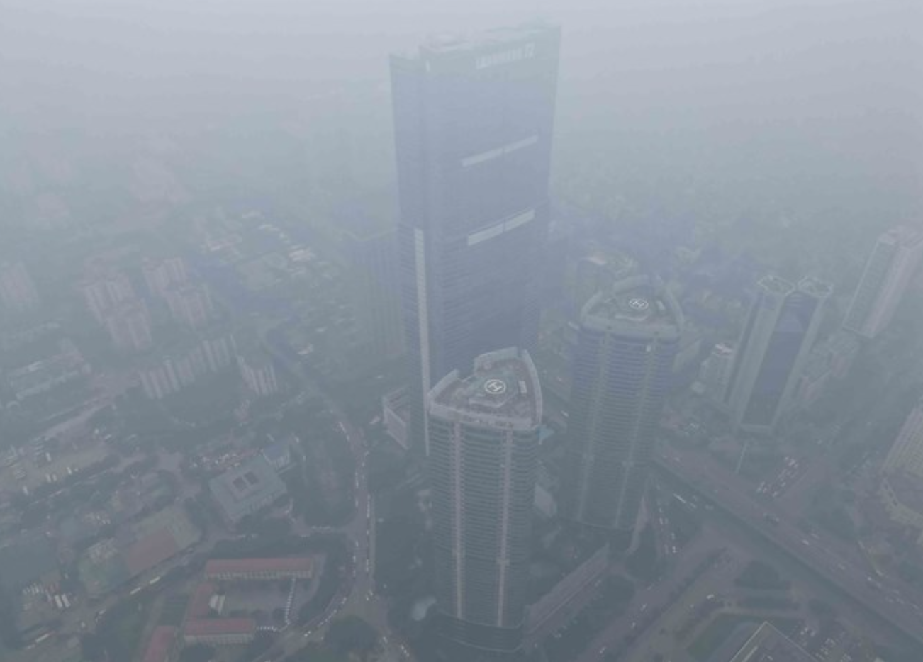 B&iacute; mật dưới l&ograve;ng đất của Cuba khiến DN Việt Nam quyết định trồng 2.500ha, kỳ vọng biến th&agrave;nh "thủ phủ" - Ảnh 3.