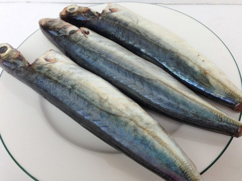 5 loại cá nội địa Việt ngon bổ ngang hàng cá ngoại, quan trọng là giá rẻ bằng 1/2- Ảnh 5. 5 loại cá nội địa Việt ngon bổ ngang hàng cá ngoại, quan trọng là giá rẻ bằng 1/2- Ảnh 5.