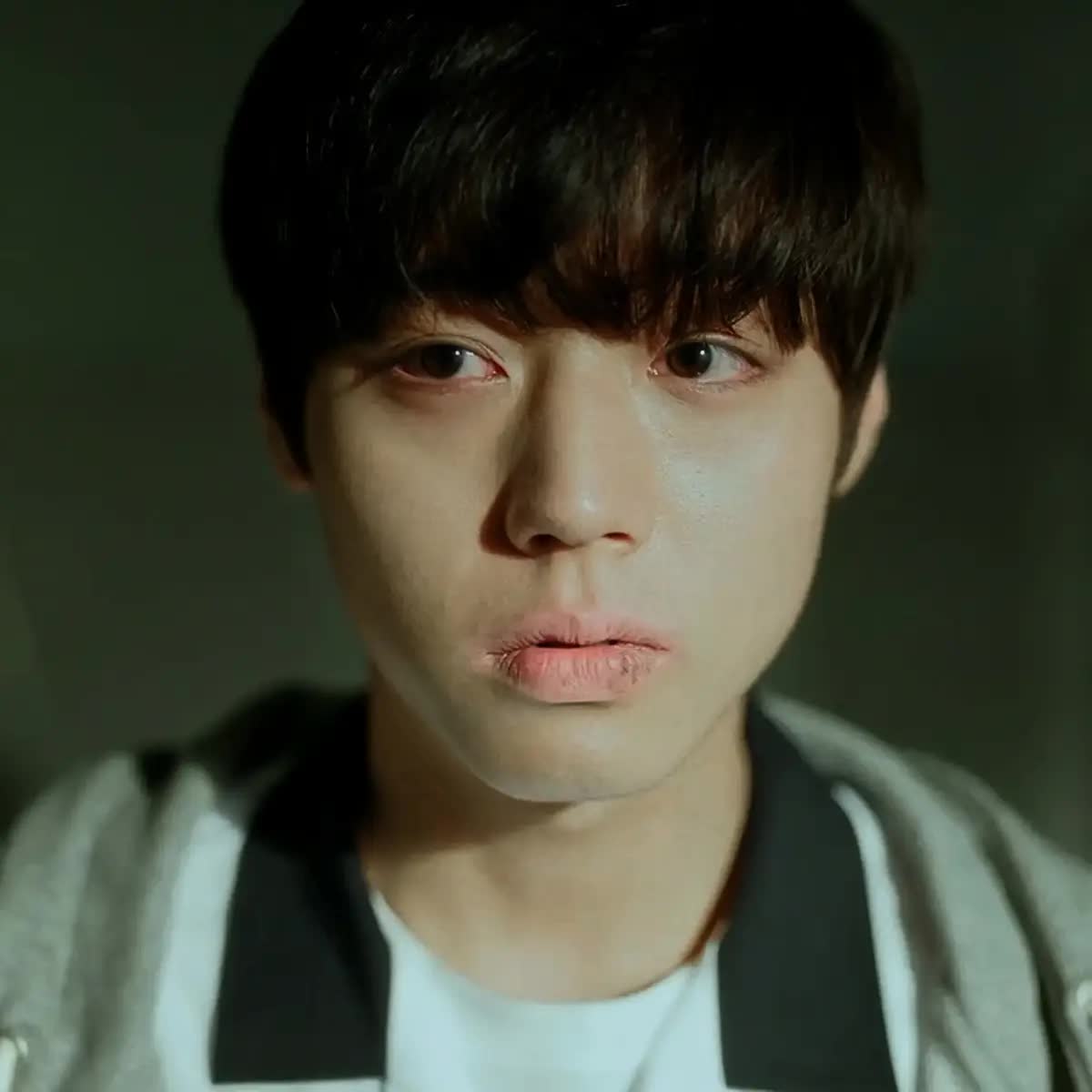 - Ảnh 2. - Ảnh 2.