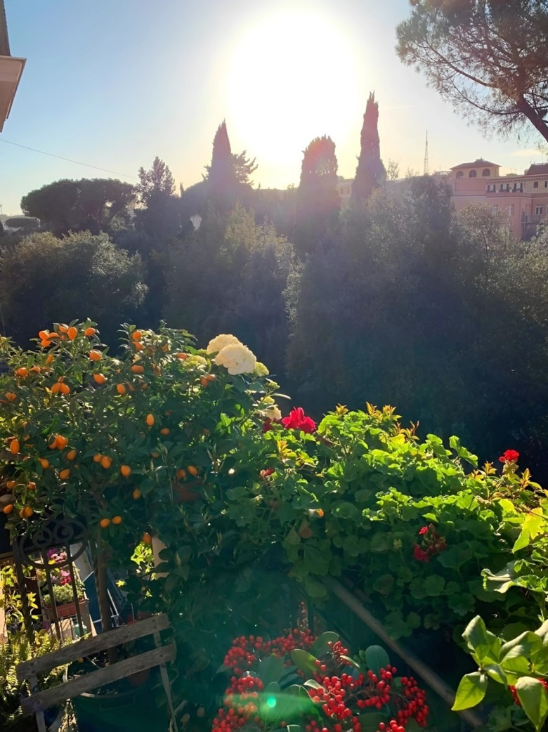 - Ảnh 17. - Ảnh 17.