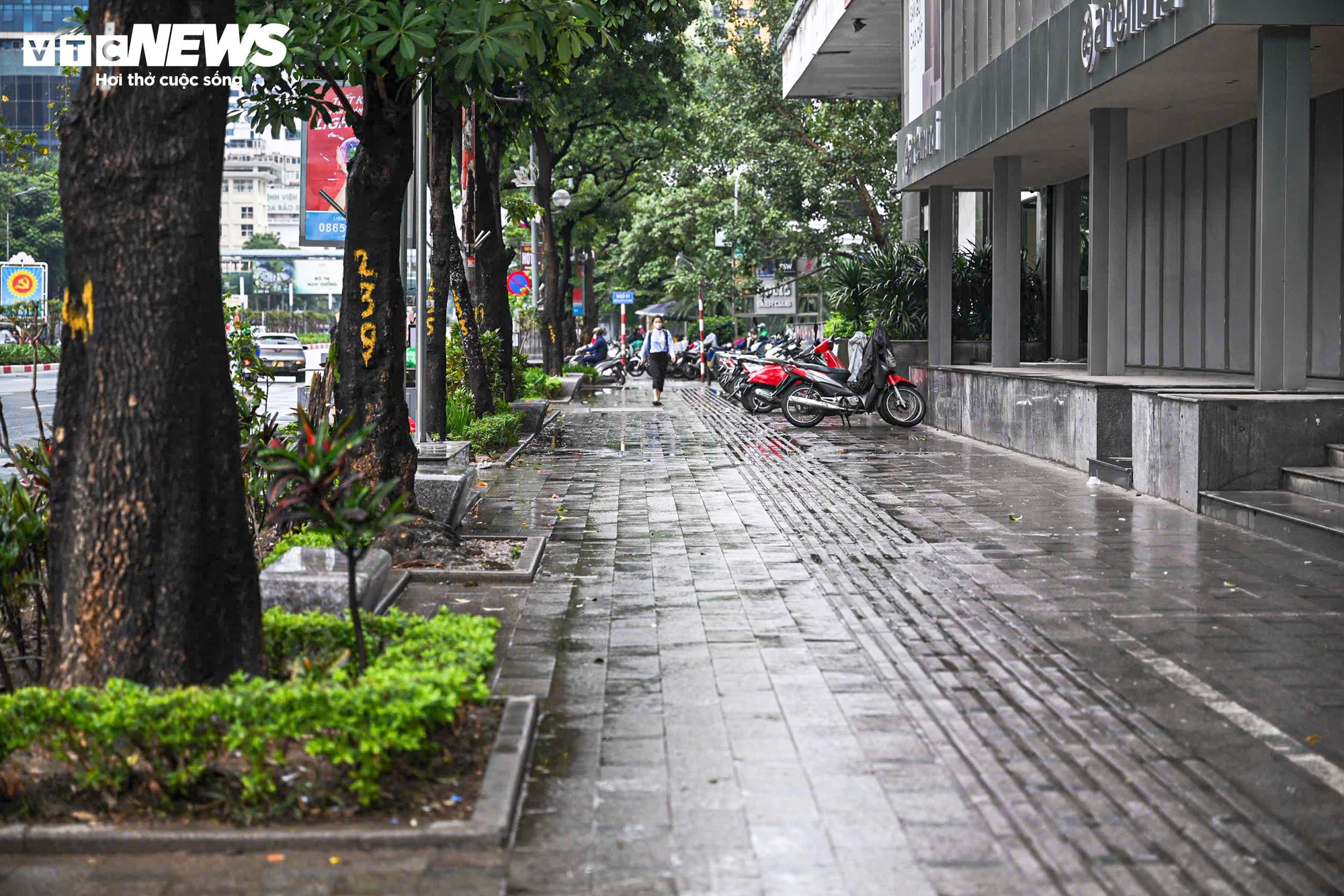 Ngày đầu camera AI hoạt động Tại Hà Nội: Giao thông trật tự hơn giữa mưa rét - Ảnh 10.