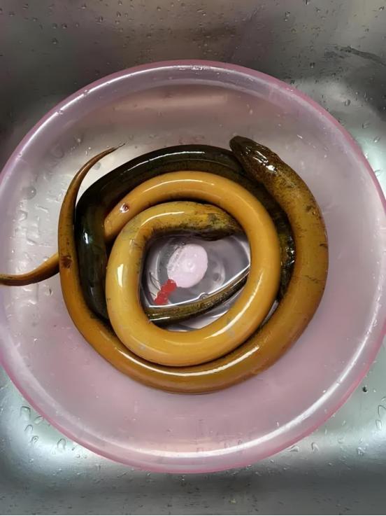 4 loại cá dễ chứa "ổ sán", chủ sạp bán cũng ngại ăn- Ảnh 3.