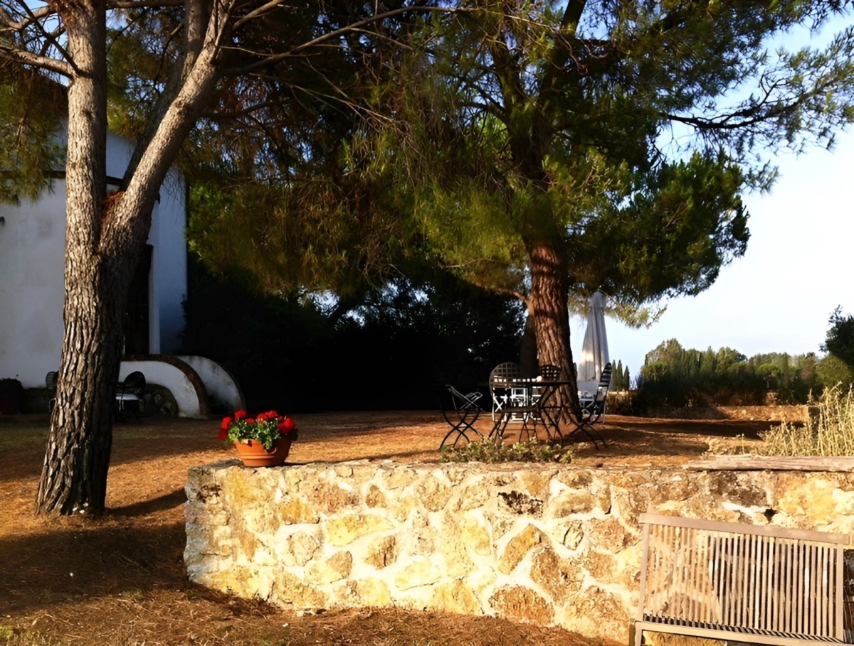 - Ảnh 20. - Ảnh 20.