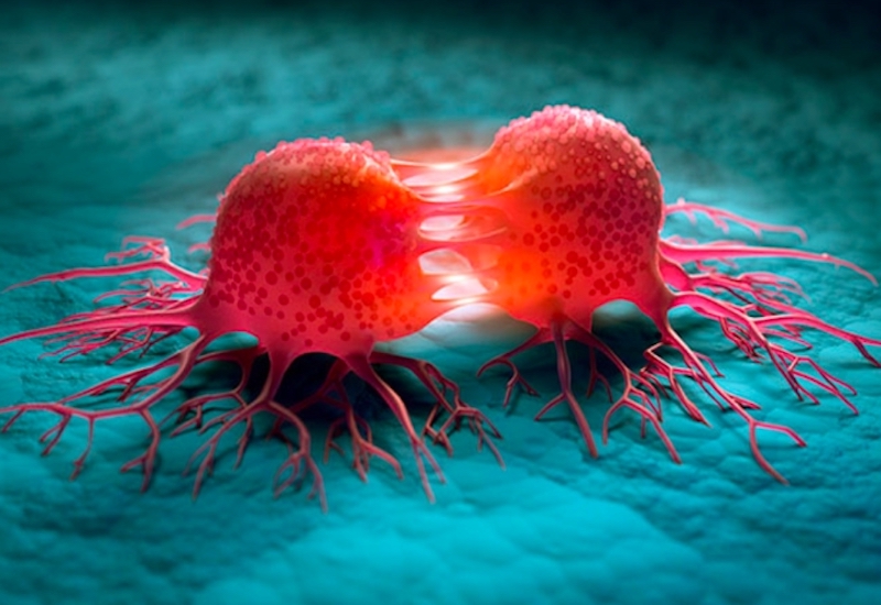 B&aacute;c sĩ Mỹ chia sẻ 5 m&oacute;n ăn nhẹ l&agrave;m tăng khả năng chống ung thư ruột kết gấp bội, ban đầu thấy lạ nhưng &ldquo;c&agrave;ng ăn c&agrave;ng m&ecirc;&rdquo;- Ảnh 1.