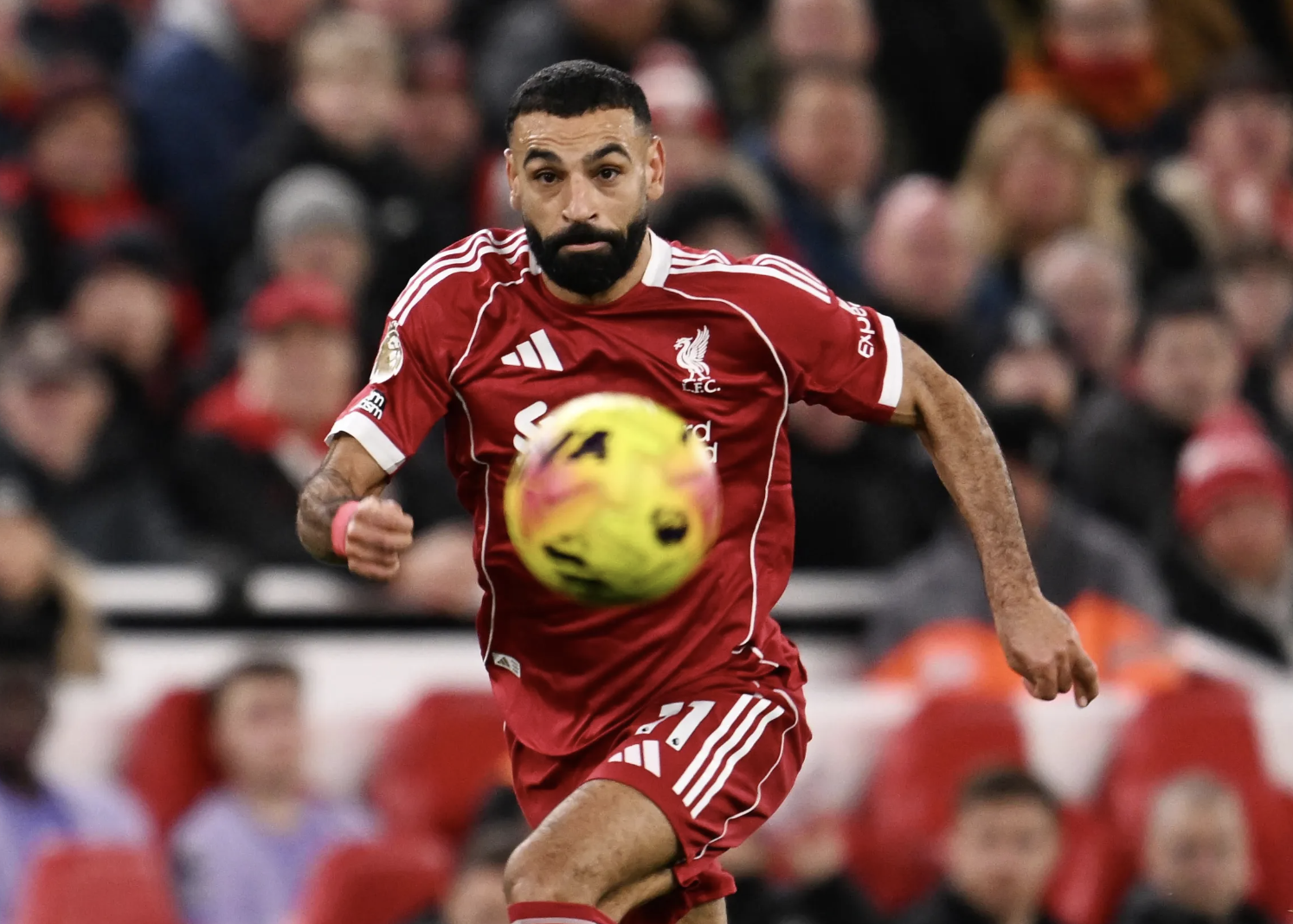 Salah trở lại, Liverpool hạ đẹp Brighton bằng màn tỏa sáng của Ekitike - Ảnh 3.