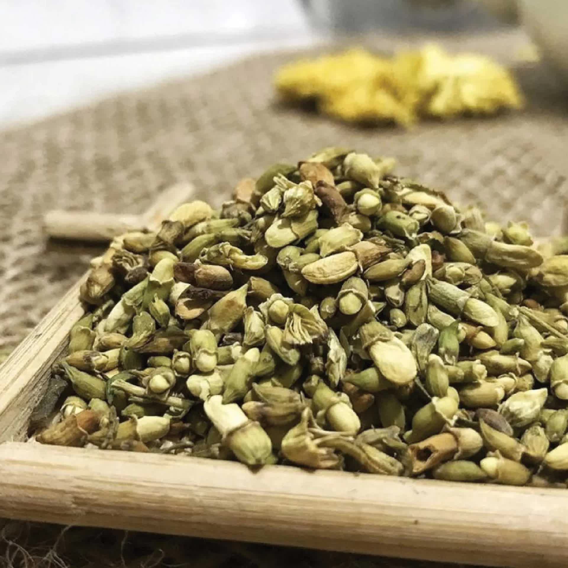 Loại c&acirc;y tượng trưng cho may mắn v&agrave; t&agrave;i lộc, trồng trong nh&agrave; c&ograve;n c&oacute; được vị thuốc trị "b&aacute;ch bệnh" - Ảnh 2.