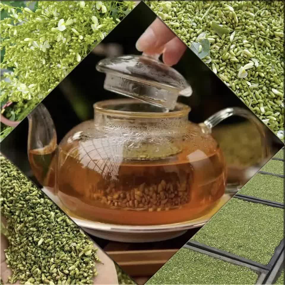 Loại c&acirc;y tượng trưng cho may mắn v&agrave; t&agrave;i lộc, trồng trong nh&agrave; c&ograve;n c&oacute; được vị thuốc trị "b&aacute;ch bệnh" - Ảnh 3.