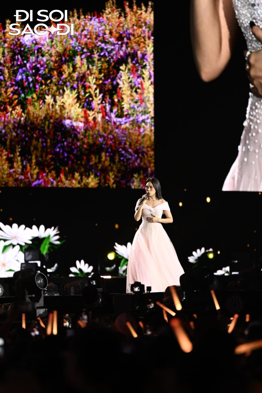 Mỹ Tâm tìm Mai Tài Phến giữa biển 40 nghìn người- Ảnh 7.