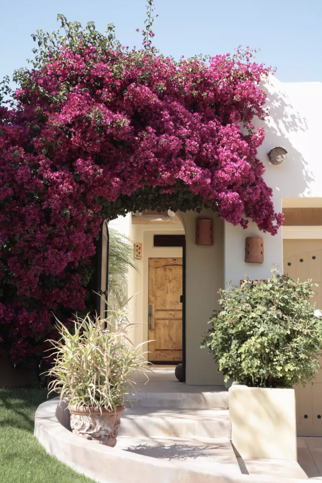 - Ảnh 5. - Ảnh 5.