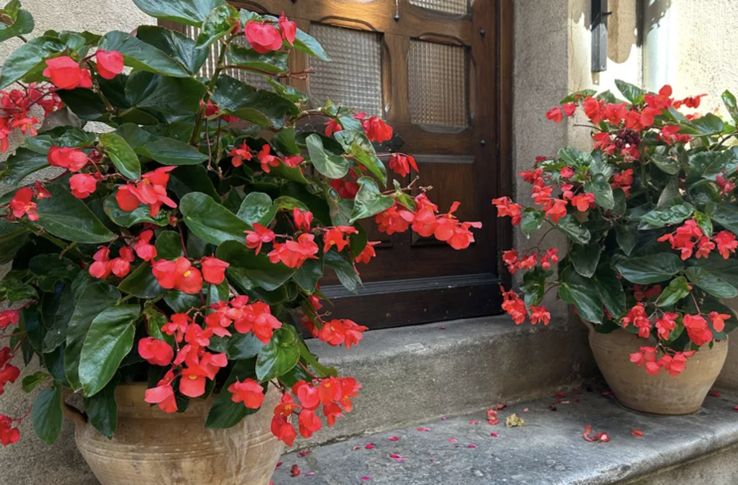 - Ảnh 7. - Ảnh 7.