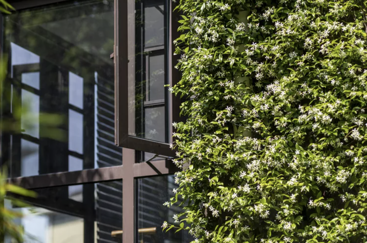 - Ảnh 9. - Ảnh 9.