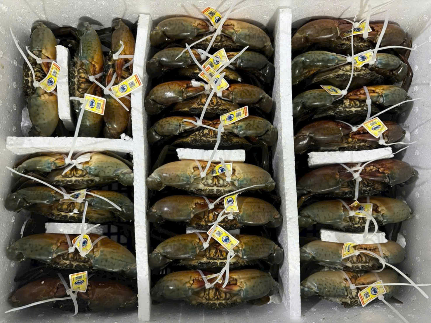 - Ảnh 1. - Ảnh 1.