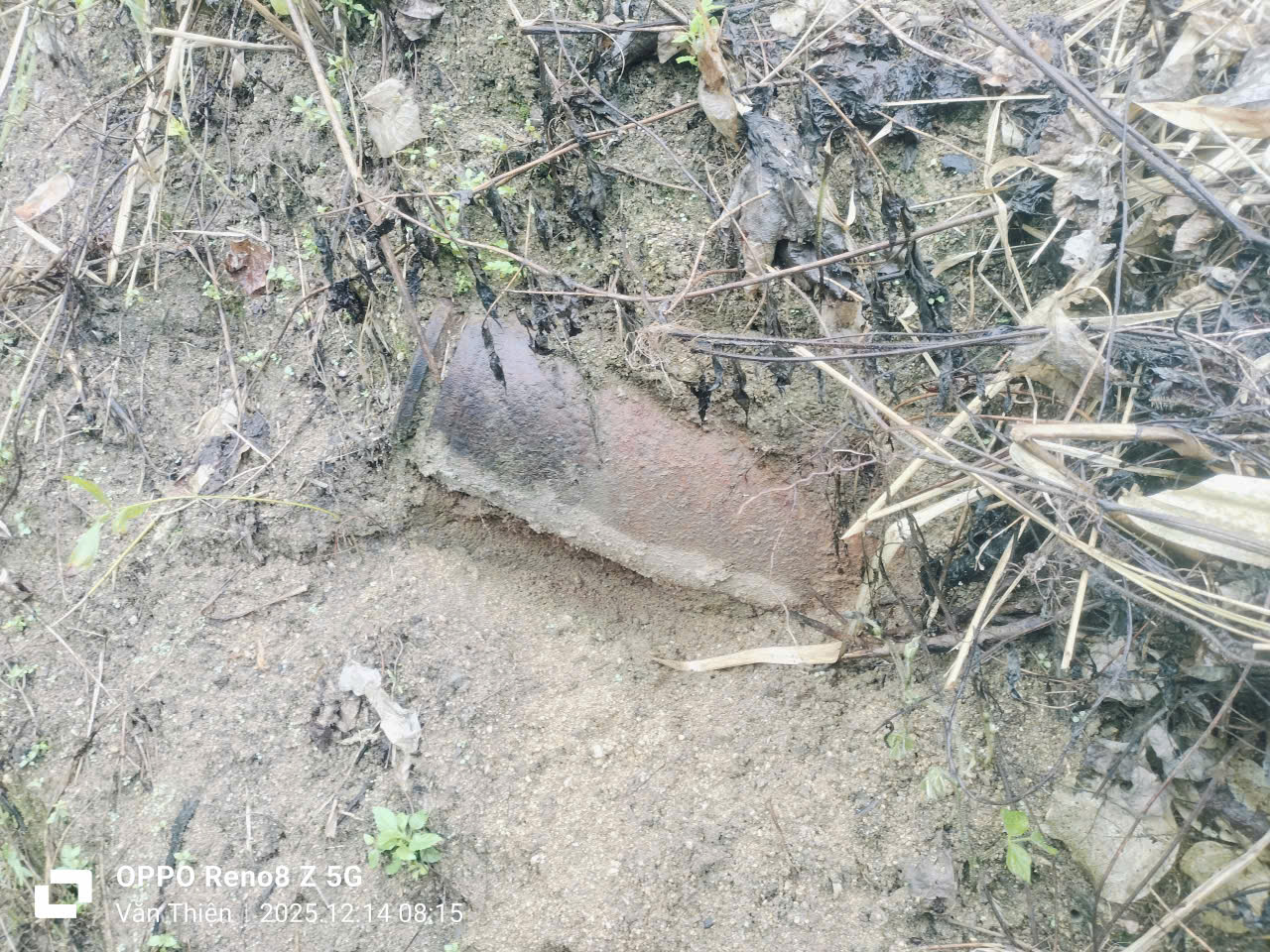 Thứ không ai muốn thấy vừa xuất hiện trong rẫy người dân ở Đà Nẵng - Ảnh 1. Thứ không ai muốn thấy vừa xuất hiện trong rẫy người dân ở Đà Nẵng - Ảnh 1.