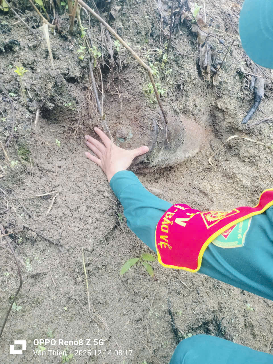 Thứ không ai muốn thấy vừa xuất hiện trong rẫy người dân ở Đà Nẵng - Ảnh 2. Thứ không ai muốn thấy vừa xuất hiện trong rẫy người dân ở Đà Nẵng - Ảnh 2.