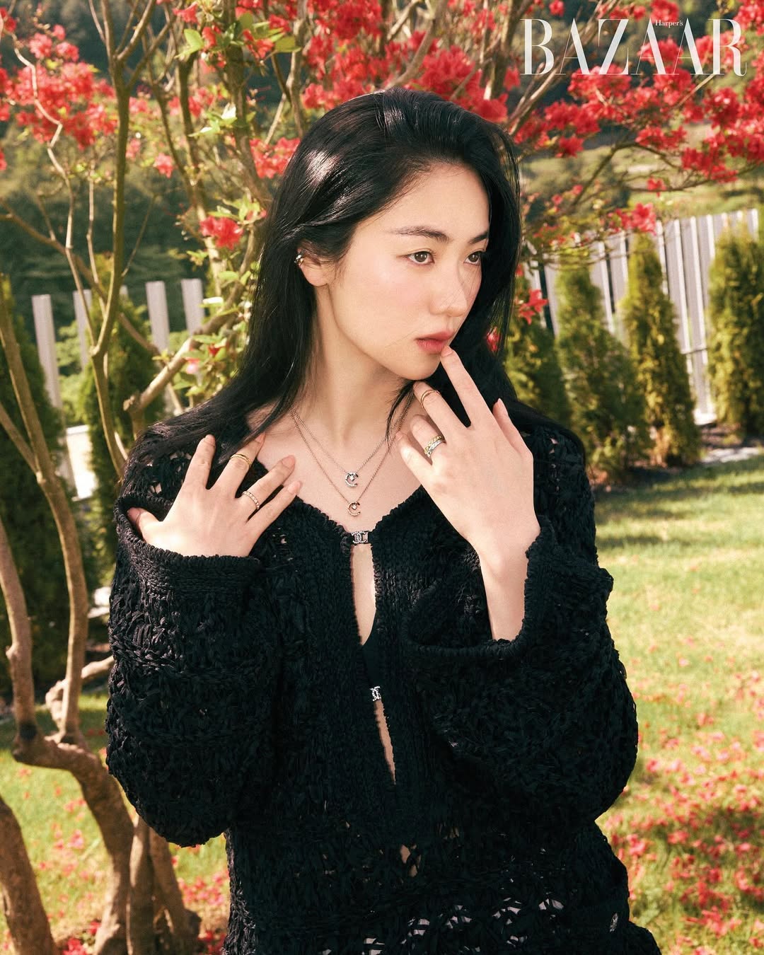 - Ảnh 3. - Ảnh 3.