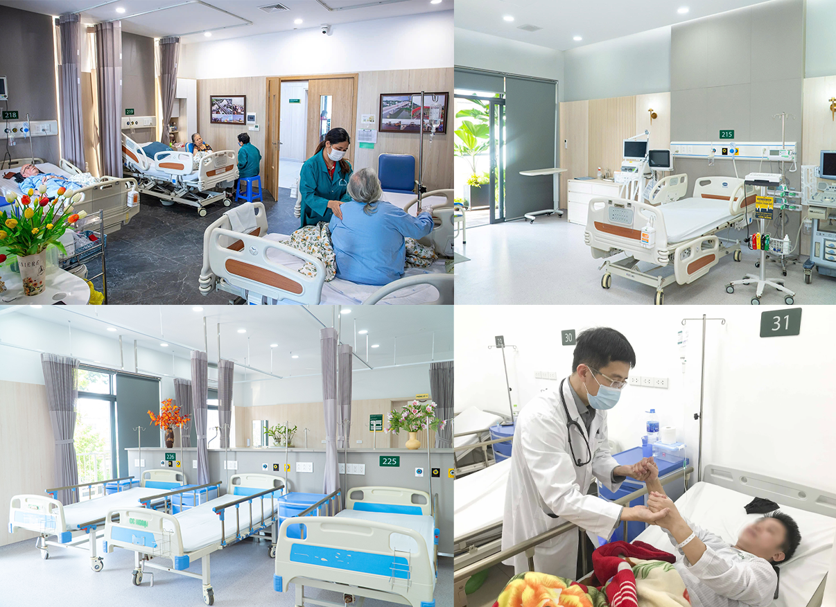 - Ảnh 2. - Ảnh 2.