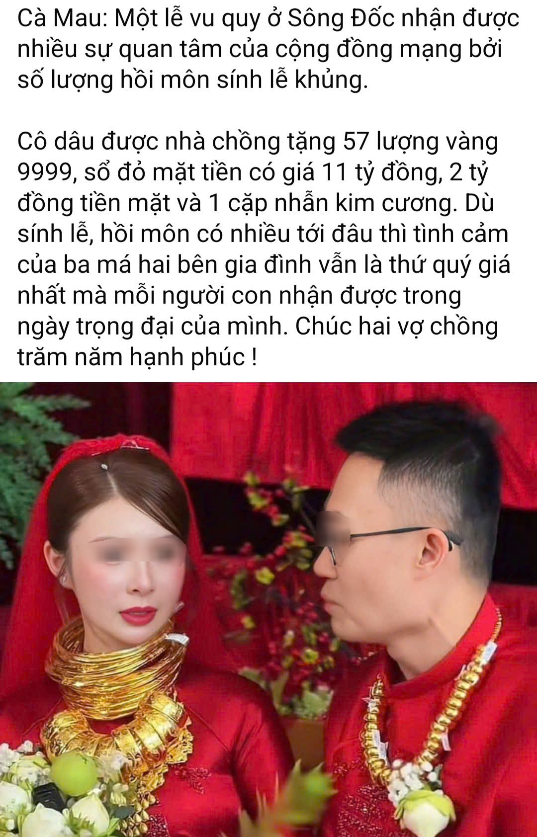 Cô dâu Cà Mau nhận 57 lượng vàng, sổ đỏ 11 tỉ trong lễ vu quy - Ảnh 1.