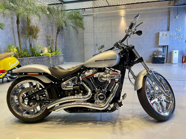 - Ảnh 4. - Ảnh 4.