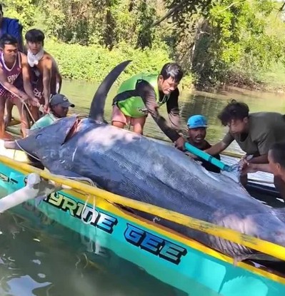 Ngư dân vật lộn nghẹt thở với "thủy quái" nặng 500kg, dài 4,6 mét: Thấy cảnh này cả bãi biển nín lặng - Ảnh 1.