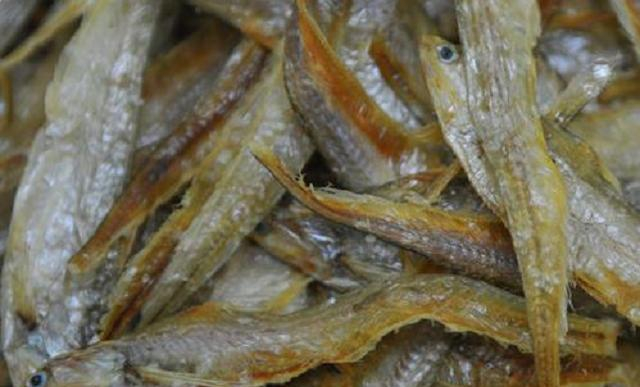 4 loại cá bổ dưỡng lại rẻ tiền, ít xương gần như “không tanh”, ăn một lần là mê- Ảnh 1. 4 loại cá bổ dưỡng lại rẻ tiền, ít xương gần như “không tanh”, ăn một lần là mê- Ảnh 1.