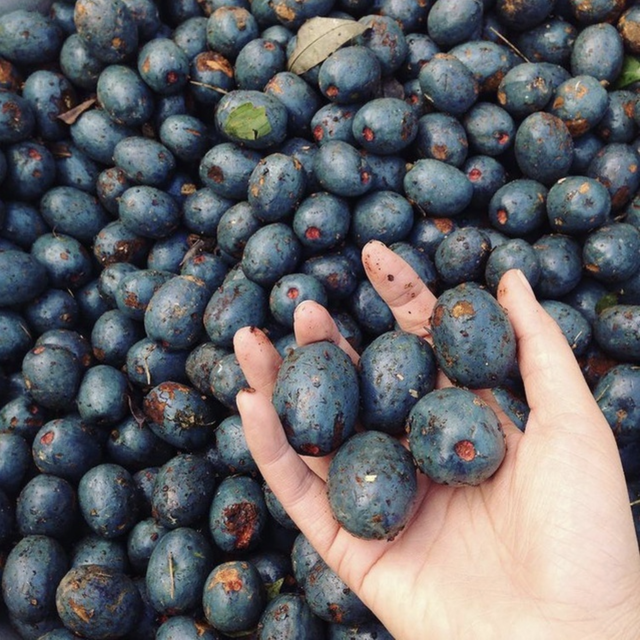 Trend k&igrave; cục: Tranh nhau mua nhưng ăn xong ai cũng 