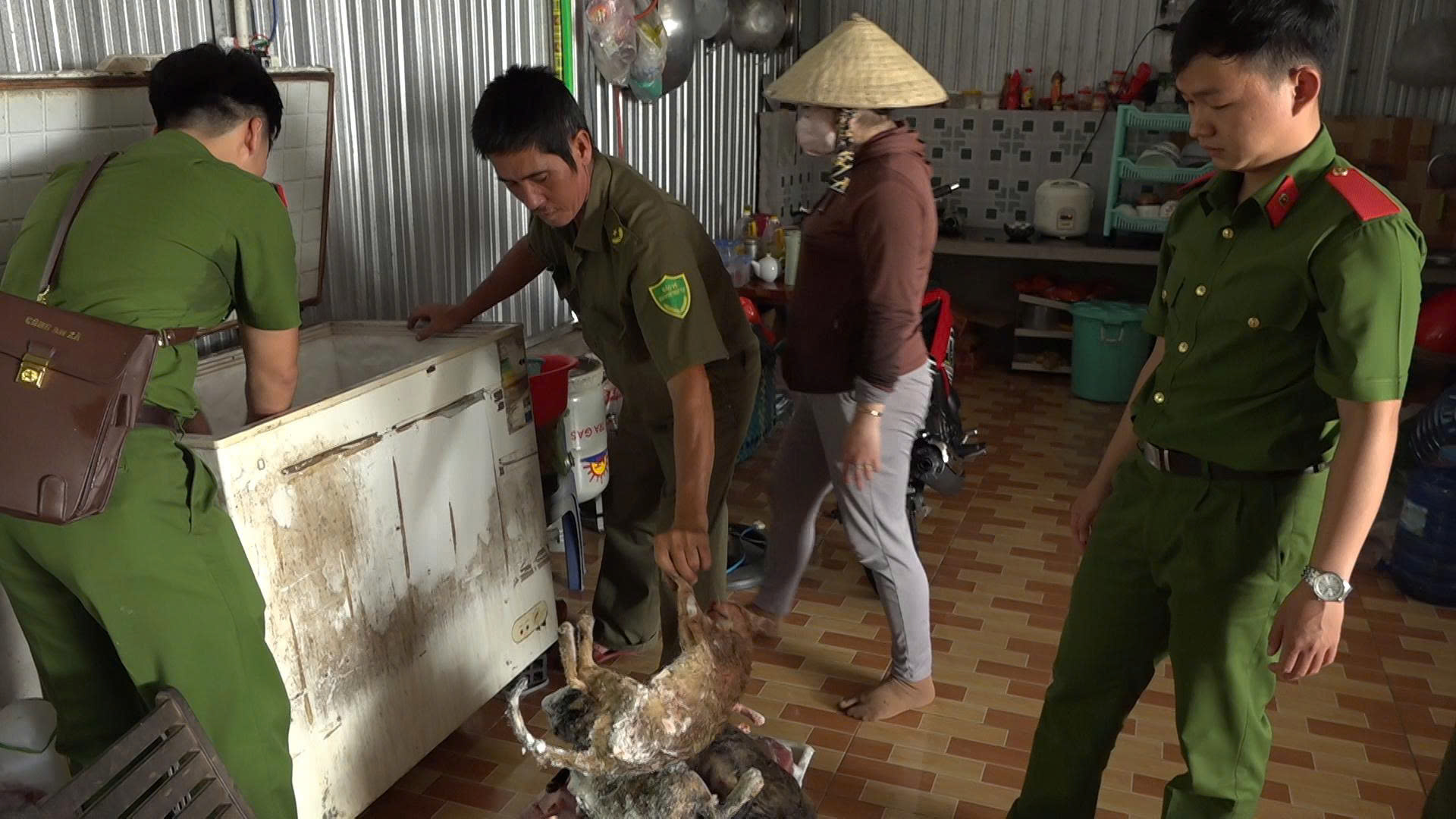 Kho lạnh mèo Đồng Tháp: Phát hiện 700 kg mèo không rõ nguồn gốc bị tiêu hủy - Ảnh 1.