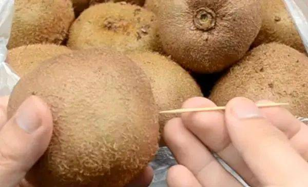 Cắm 1 cây tăm vào quả kiwi, hiệu quả "vàng mười" khiến nhiều người bất ngờ- Ảnh 1.