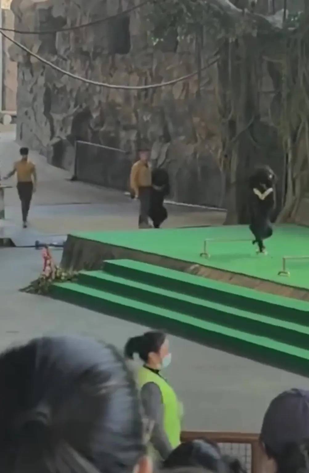 Gấu đen tấn c&ocirc;ng huấn luyện vi&ecirc;n tại sở th&uacute; g&acirc;y chấn động - Ảnh 1.